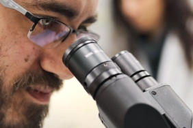 HIV Enfeksiyonuna Karşı Yeni Stratejiler Geliştirilebilir
